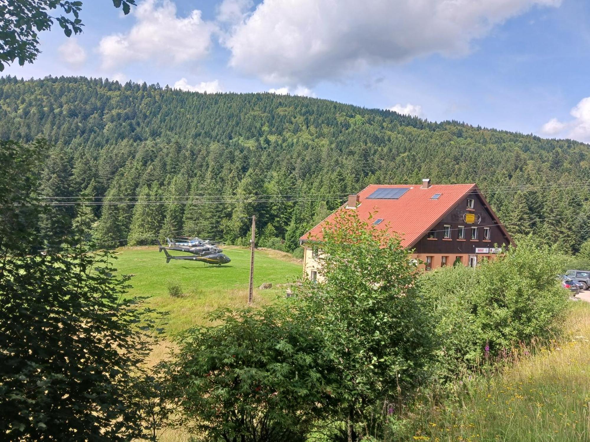Domaine Des Hauts Viaux 라브레세 외부 사진