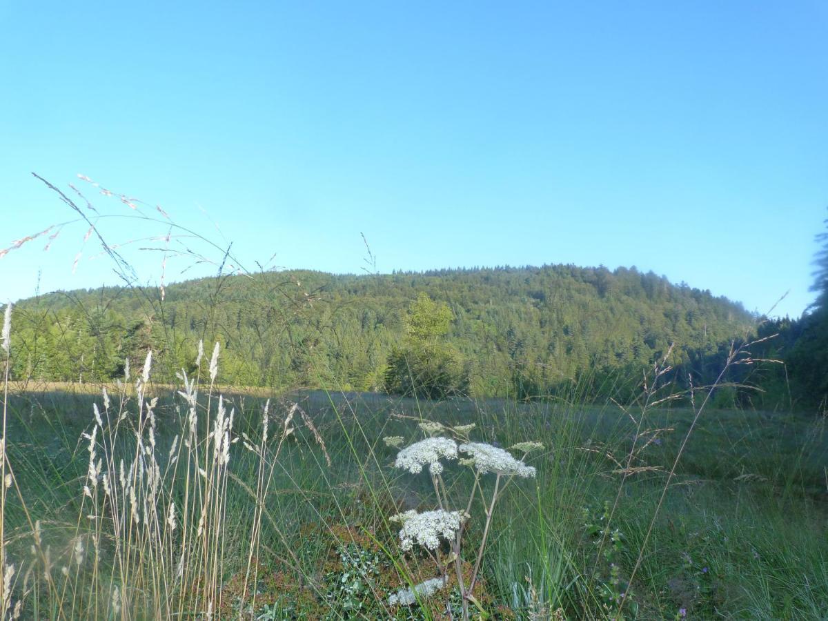 Domaine Des Hauts Viaux 라브레세 외부 사진